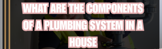 What are the components of a plumbing system in a house
