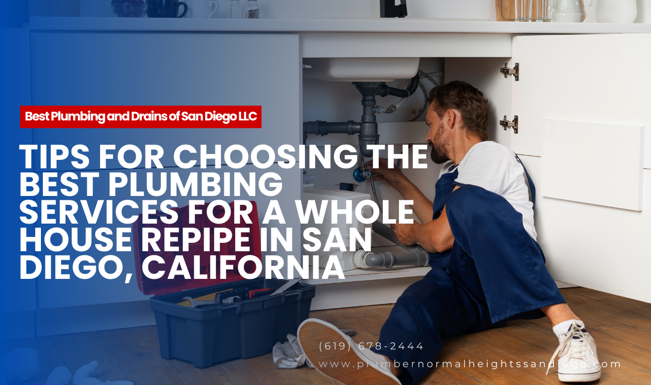 budget for a whole house repipe San Diego