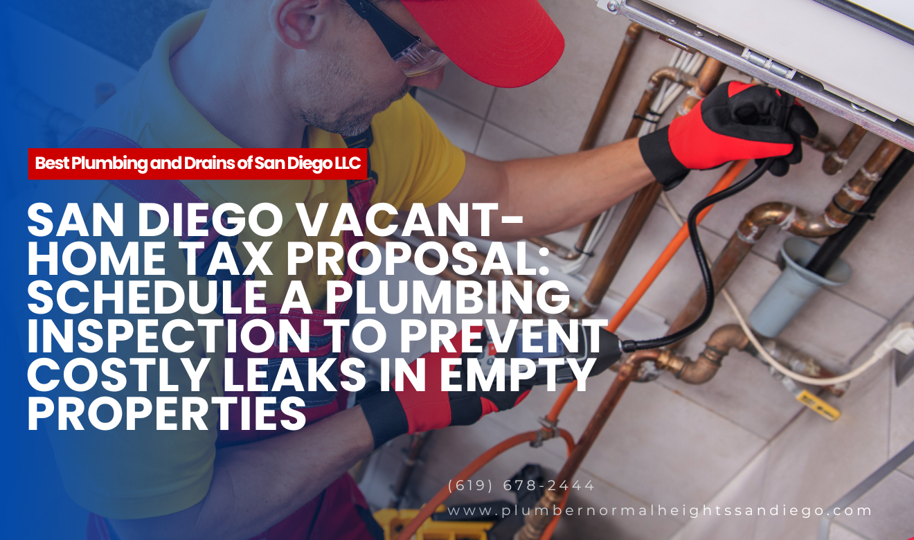 Plumbing Inspection to Prevent Costly Leaks