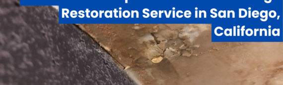 Discover the Top Rated Water Damage Restoration Service in San Diego, California